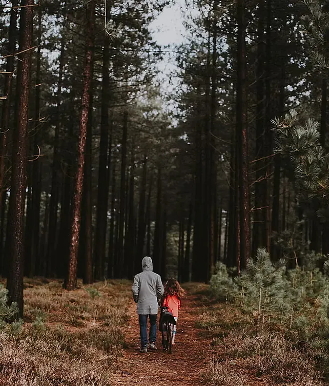 Un parent et un enfant marchent côte à côte sur un sentier forestier, entre les grands pins.
